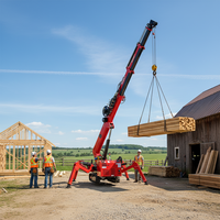 Grue araignée RST L-423 avec nacelle télécommandée 3 tonnes 5 tonnes, ventouse à verre et flèche de déplacement
