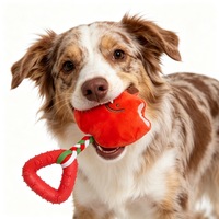 Jouet en peluche en forme de pomme pour chien, avec sifflet en TPR et combo os, idéal pour la mastication des chiots et le soulagement de l'ennui (vente en gros)