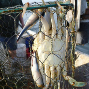 Malla de Alambre Hexagonal Reforzada con Recubrimiento de Vinilo, Malla para Trampas de Langosta, Malla para Aves de Corral con Recubrimiento de PVC de Grado Marino para Uso Subacuático - Product Image 5