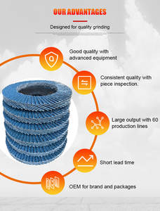 Disque à lamelles en zirconium de 4,5 pouces - Product Image 4