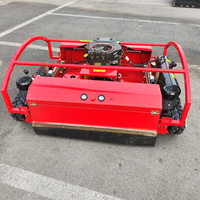 Pente télécommande tondeuse à gazon Rc herbe découpeuse Agriculture Robot débroussailleuse tondeuse tracteur CE 48V 4 temps moteur