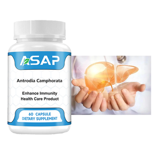 Capsules d'Antrodia Camphorata en vrac Capsules d'Antrodia Camphorata en gros d'usine à vendre - Product Image 2