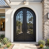 Porte d'entrée de villa décorative extérieure en fer forgé cintrée traditionnelle de luxe, à double battant avec ouverture latérale et vitrage, sur mesure