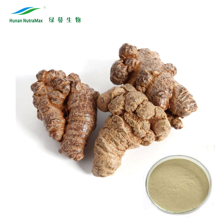 Kruidenextract Notoginseng Wortel Extract, Panax Notoginseng Extract Poeder Met 5% 10% Notoginsenoside