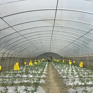 Invernadero agrícola de alta resistencia, casa verde con túnel de polietileno, para tomate, en venta
