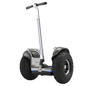 Eswing yüksek kalite moda 19 inç yağ lastik iki tekerlekli kendini dengeleme elektrikli araba scooter