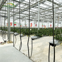 Grande serre en verre multi-voûtes pour l'agriculture, les pépinières, les plantes, les tomates, les fraises, tunnel hydroponique en PE pour la culture des légumes