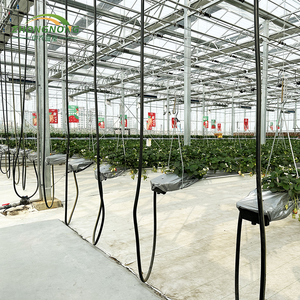 Grande <span class=keywords><strong>serre</strong></span> <span class=keywords><strong>en</strong></span> <span class=keywords><strong>verre</strong></span> multi-voûtes pour l'agriculture, les pépinières, les plantes, les tomates, les fraises, tunnel hydroponique <span class=keywords><strong>en</strong></span> PE pour la culture des légumes - Product Image 3