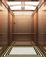 Cabine d'ascenseur moderne en acier inoxydable de 630 kg du fabricant FUJI pour l'utilisation des passagers dans les hôpitaux et les hôtels