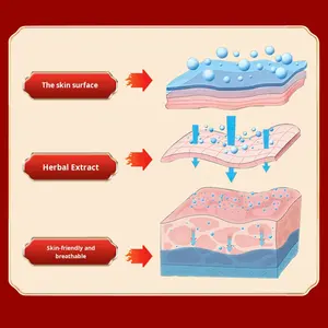 河南Zhoucha Tongrentang黒石膏パッチメーカー腰椎ディスク筋肉痛軽減首肩 & ウエスト疼痛クラスI - Product Image 4