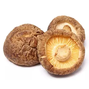 Großhandel billig gesunde getrocknete Shiitake Pilz