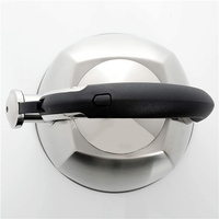 Bouilloire à thé moderne en acier inoxydable argenté de 2,5 litres à 6 côtés, avec poignée en alliage de zinc, revêtement coloré durable, compatible induction et cuisinière