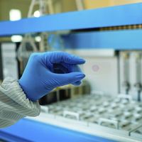 Medical Parasite Microscope Slides Good Medical Microscopic Glass Slides