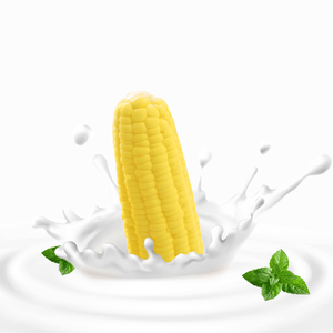 Lynpet toptan toplu mısır tasarım ucuz sevimli yavru köpek oyuncaklar gıcırtılı peluş pet oyun çiğnemek oyuncaklar - Product Image 3