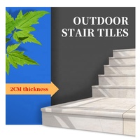Carreaux de céramique antidérapants en porcelaine pour escaliers extérieurs, design bois et céramique pour salon