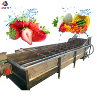 Fruitwas-En Sorteermachine Voor Bladgroente Wasmachine-En Droogmachine Voor Het Wassen Van De Groenten