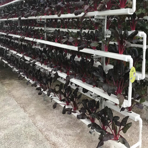 Skyplant PVC aeroponic Channel ระบบปลูกแนวตั้งแบบไฮโดรโปนิกส์ที่มีอายุการใช้งานยาวนาน - Product Image 6