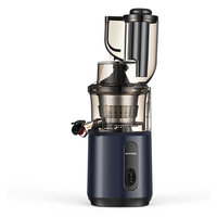 Multifunctionele elektrische smoothie- en sorbetmaker, slowjuicer voor alle groenten, huishoudelijk gebruik