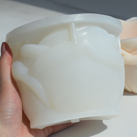 Moules en silicone pour plantes succulentes, cactus, vase, moules à pot de fleurs, 3 pièces, qualité alimentaire, écologiques, décoration extérieure