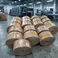 FDA LFGB BSCI Sertifikalı Gıda Sınıfı Silikon Yağlı Kağıt Jumbo Rulo Yapışmaz Yağ Geçirmez Pişirme Kağıdı Kaynak Fabrikası