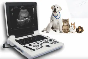 Laptop Ultrasound Machine Black And White Scanner