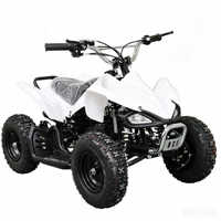 Minimoto de Cuatro Ruedas de Larga Distancia con Freno de Disco Único y Transmisión Automática por Cadena