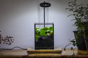 Étanche Fermer Géométrique Verre Étain Terrarium Ventouse Étang Maison <span class=keywords><strong>Jardin</strong></span> Mur Utilisation Kit <span class=keywords><strong>Mousse</strong></span> D'eau Paysage Plante Décoration - Product Image 5