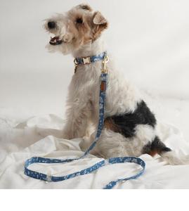 Collier pour chien et chat en coton de taille M, confortable, élégant, moderne, design tendance, réglable, design personnalisé - Product Image 2