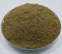 Poudre de larve de mouche de soldat noir, vers comestibles, farine d'insecte, protéine pour volaille, Aquaculture, poisson