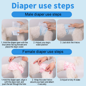 Pañales Absorbentes para Perros DONO al por Mayor, Pañales Desechables de Alta Calidad para Perras, Color Rosa, 8 Piezas - Product Image 5