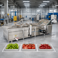 Fruit- en groentewasmachine, sinaasappelwasmachine, groentereinigingsmachine, groentewasmachine