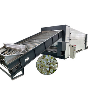 Máquina Secadora de Flores de Alta Capacidad con Cinta de Malla, Máquina de Secado de Girasoles con Cinta de Malla, Máquina Secadora de Flores de Locust Negro con Cinta de Malla - Product Image 1