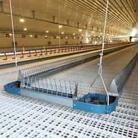 Ligne d'alimentation automatisée Pan/Chain pour fermes avicoles : Optimisez le taux de croissance