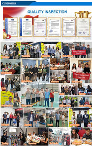 Máquina Selladora <span class=keywords><strong>de</strong></span> <span class=keywords><strong>Agua</strong></span> Pura <span class=keywords><strong>de</strong></span> 5 Galones (20 <span class=keywords><strong>Litros</strong></span>) con Motor, Control PLC Totalmente Automático, Nuevo Diseño Chino - Product Image 4