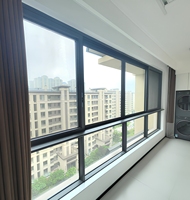 Ventana Corredera Ultra Estrecha de 6 Vías Serie 160, Moderna, Exterior de Aleación de Aluminio con Rotura de Puente Térmico, Insonorizada, con Certificación Energy Star