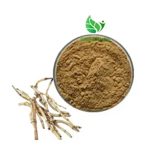 Lalang Grass Rhizome Extract 10: 1 to 200: 1 Cylindrin