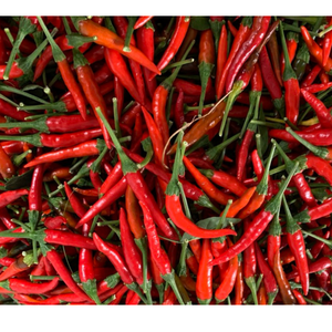 Chile fresco de Vietnam Fabricante agrícola Especias individuales Hierbas Procesamiento crudo Precio razonable Servicio postventa - Product Image 5