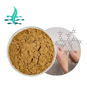 Giá Tốt Nhất Galla Chinensis Chiết Xuất 98% Tannic Acid Bột