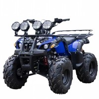Kart Eléctrico de 3000W para Adultos, Karting Todoterreno para la Playa, Vehículo de Aventura, Accesorios para Go Karts, Carga Máxima de 200 kg