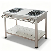 Cuisinière à gaz professionnelle en acier inoxydable à 2 brûleurs avec crédence et étagère pour restaurant