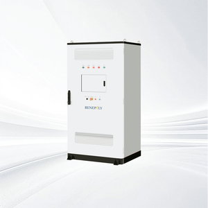 Renepoly ECC2P 2 Circuit Parallel AC Combiner Cabinet IP54 <b>Protection</b> for Industrial Solar and Energy Storage Systems - Product Image 1