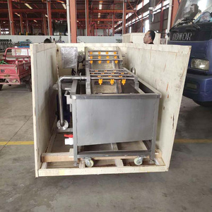 Máquina Profesional de Acero Inoxidable para Lavar y Pelar Uvas con Certificado CE, Capacidad de 200-1000 Kg/h, Potencia de 1.1KW - Product Image 4