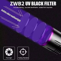 Lampe torche UV portable 365 nm avec filtre noir, rechargeable par USB, 20 W, pour l'inspection de la porcelaine, du jade et les tests de traces fluorescentes