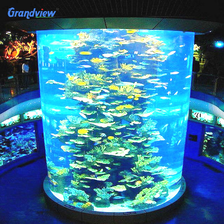 驚くべき鋭い巨大な水族館水槽水族館タンクアクリルプラスチック