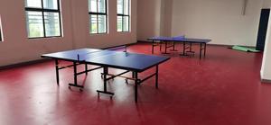 <span class=keywords><strong>Table</strong></span> <span class=keywords><strong>de</strong></span> <span class=keywords><strong>ping</strong></span>-<span class=keywords><strong>pong</strong></span> portable d'intérieur avec roulettes, plateau en SMC, design pliable, <span class=keywords><strong>table</strong></span> <span class=keywords><strong>de</strong></span> <span class=keywords><strong>ping</strong></span>-<span class=keywords><strong>pong</strong></span> commerciale robuste - Product Image 4