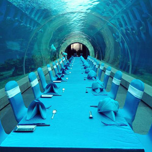 Grand aquarium en acrylique avec construction au design personnalisé Villa hôtel exposition en verre ultra blanc méduse aquarium - Product Image 3