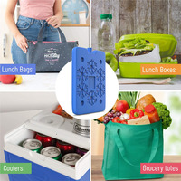 Refroidisseur d'extérieur réutilisable, vente en gros, usine directe, qualité alimentaire, brique de glace