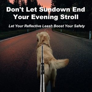 Correa de perro de servicio pesado Correa de perro de doble ASA reflectante de doble cara-Engrosamiento de doble capa, diseño de seguridad bloqueable - Product Image 6