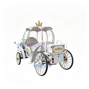 Usine vendant des carrosses citrouilles électriques blancs, nobles et exquis, pour princesses. Transport spécial. - Product Image 6