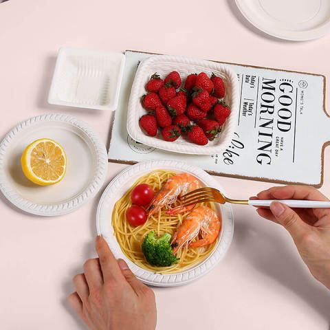 Eco Disposable Plates Natural Earth Friendly